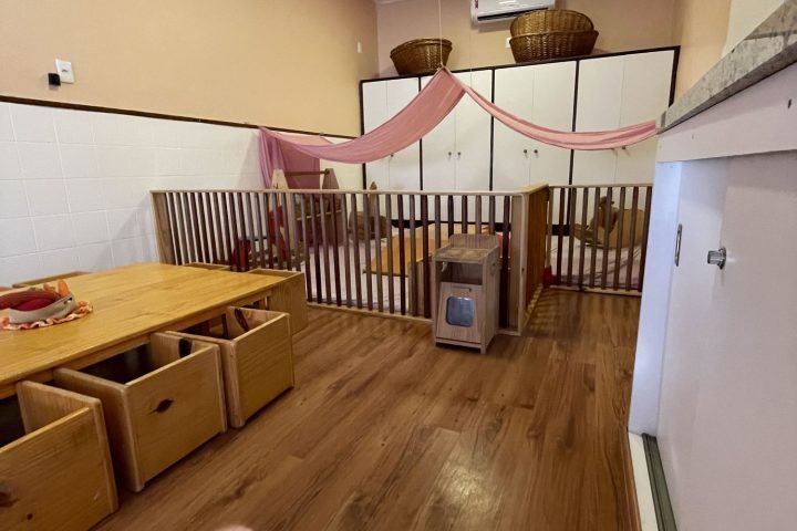 c_olho_magico_2022_girasol_06