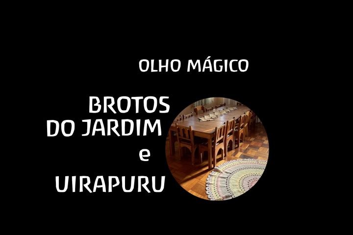 olho_brotos